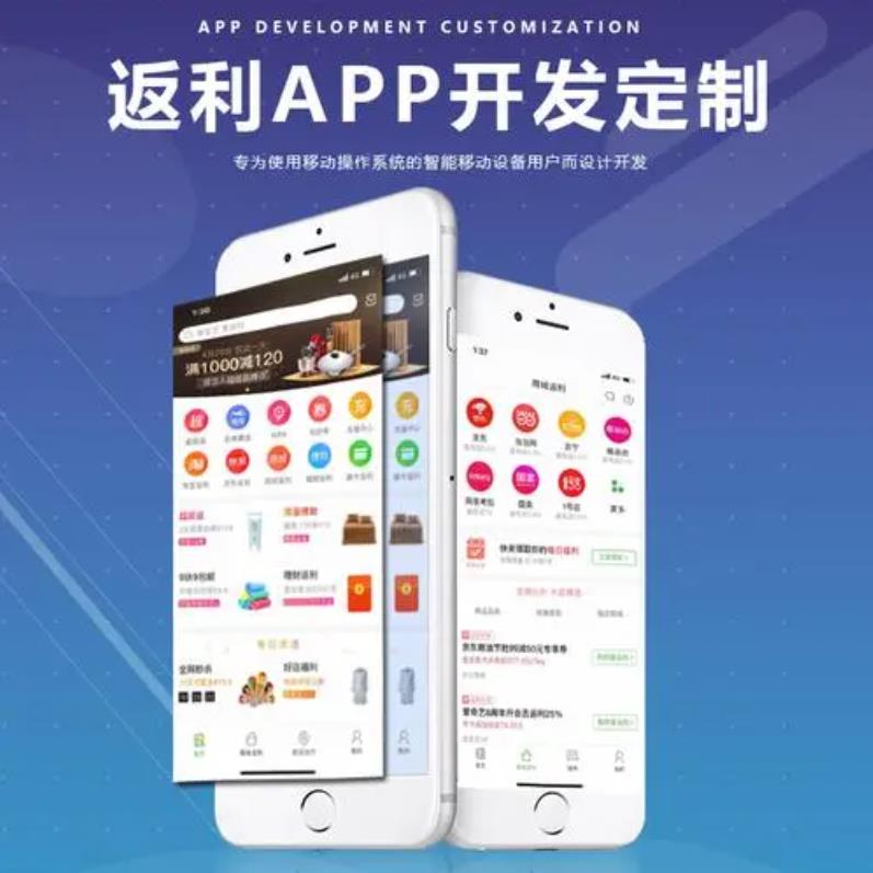 社交系统与商城APP定制开发 从需求到上线的完整指南